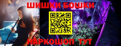 индика Чебаркуль