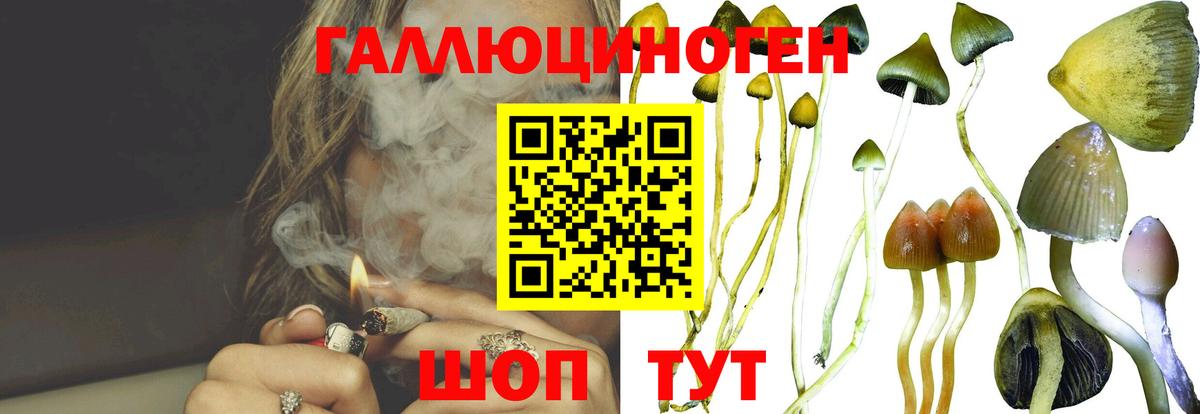 Вышний Волочёк  Псилоцибиновые грибы GOLDEN TEACHER  Псилоцибиновые грибы Magic Shrooms  Вход с VPN 